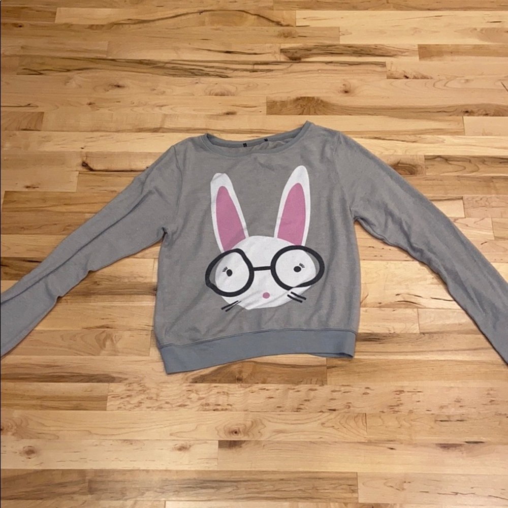 Wildfox sweatshirt